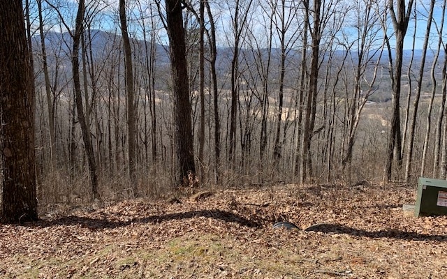 Listing photo 2 for LOT2 Rocky Knob Ests, Young Harris GA 30582