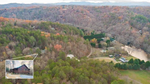 birds eye view of property with a mountain view