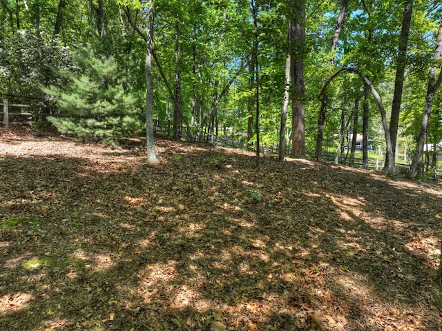 18 Mallard Ln, Morganton, GA 30560 - view of undeveloped land