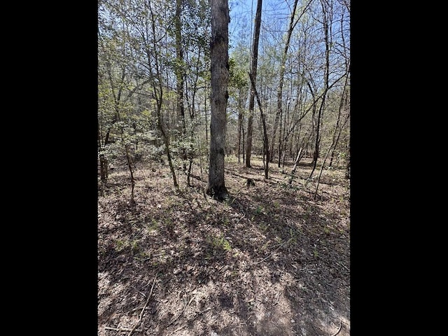 TRC E New Hope Rd E, Ellijay, GA 30536