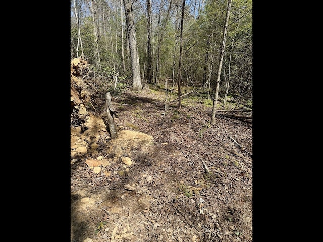 TRC E New Hope Rd E, Ellijay, GA 30536