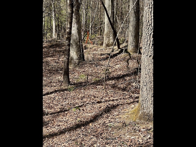TRC E New Hope Rd E, Ellijay, GA 30536