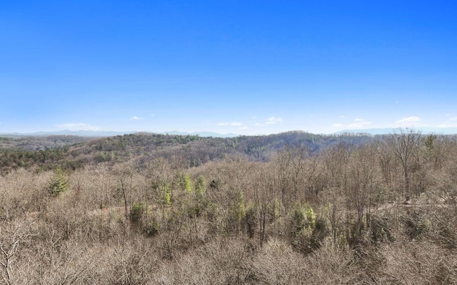 LT31 Haven Way, Blue Ridge GA, 30513 land for sale