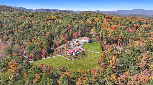 bird's eye view with a mountain view