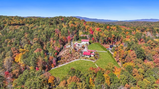 birds eye view of property with a mountain view