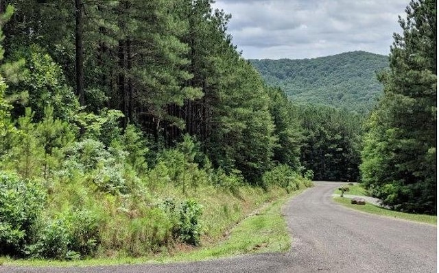 LOT6 Black Bear Ridge Rd, Ellijay GA, 30536 land for sale