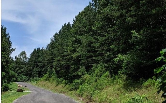 Listing photo 3 for LOT6 Black Bear Ridge Rd, Ellijay GA 30536