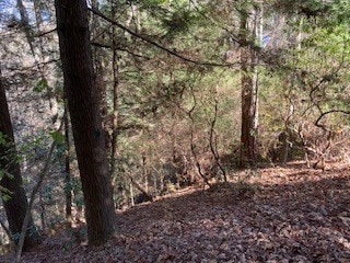 00 Nexus Dr, Ellijay, GA 30540
