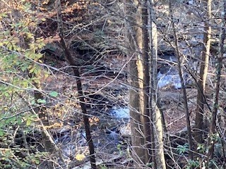 00 Nexus Dr, Ellijay, GA 30540