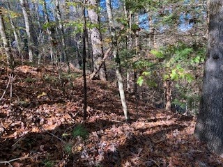 00 Nexus Dr, Ellijay, GA 30540