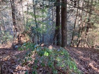 00 Nexus Dr, Ellijay, GA 30540