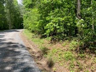 LT3758 Graham Ct, Ellijay GA, 30540 land for sale