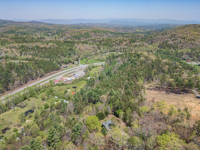 bird's eye view with a mountain view and a forest view
