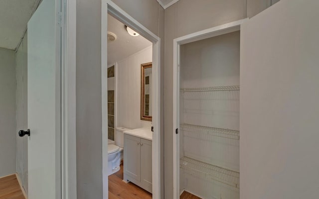 bathroom with vanity, a walk in closet, wood finished floors, and toilet