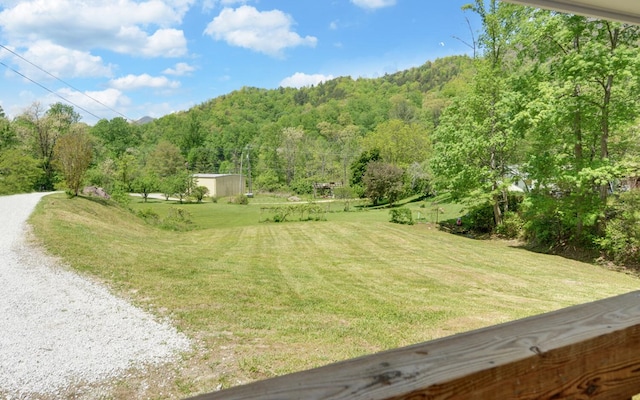 view of home's community with a yard, a view of trees, and driveway
