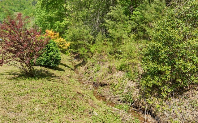 view of nature