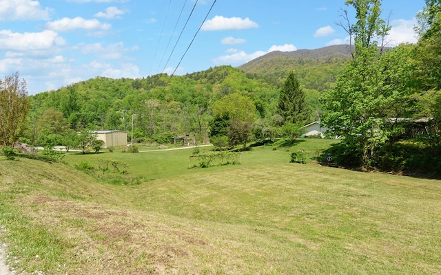 view of yard with a view of trees and a mountain view