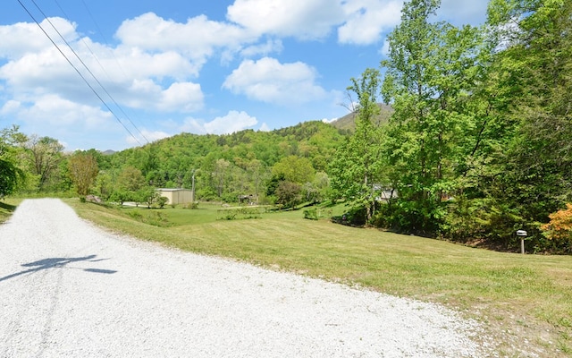 view of street featuring a forest view