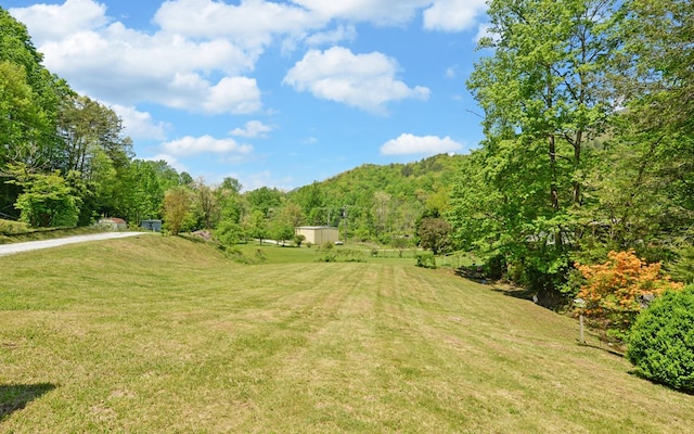 view of yard with a forest view and a rural view