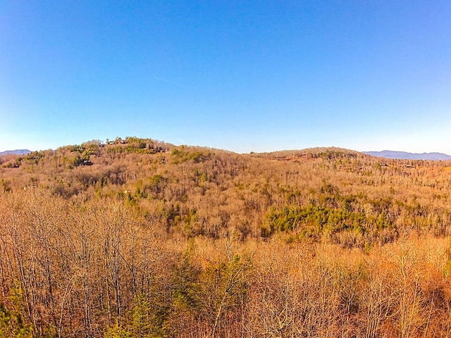 view of mountain feature