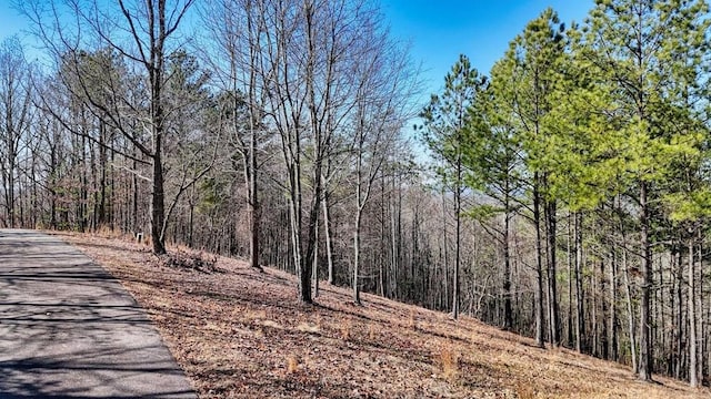 LOT29 Loftis Mtn, Blairsville GA, 30512 land for sale