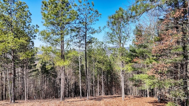 Listing photo 2 for LOT29 Loftis Mtn, Blairsville GA 30512