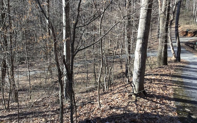 6 Redbird Dr, Hayesville, NC 28904