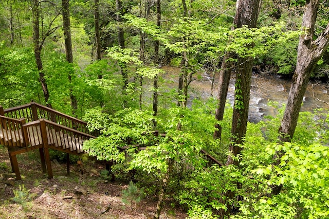view of nature with a forest view