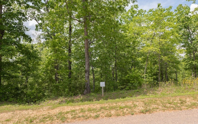 Listing photo 3 for HP25 Old Toccoa Loop, Mineral Bluff GA 30559