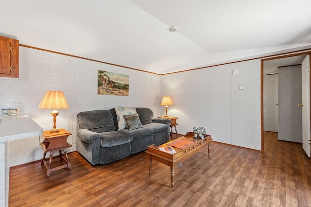 living room featuring vaulted ceiling and dark wood-type flooring