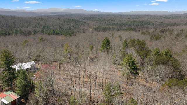 bird's eye view featuring a mountain view