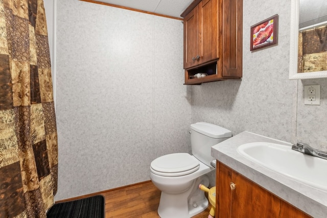 bathroom featuring toilet, a textured ceiling, wood-type flooring, and large vanity