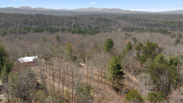 drone / aerial view with a mountain view