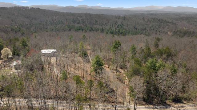 bird's eye view with a mountain view