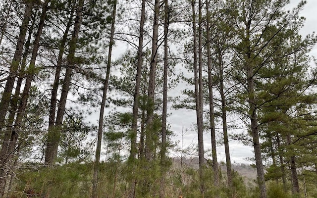 LOT45 Pinehurst Rd, Blairsville GA, 30512 land for sale