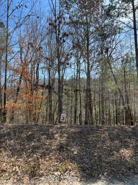 LT3 Hunter Rdg, Ellijay GA, 30540 land for sale