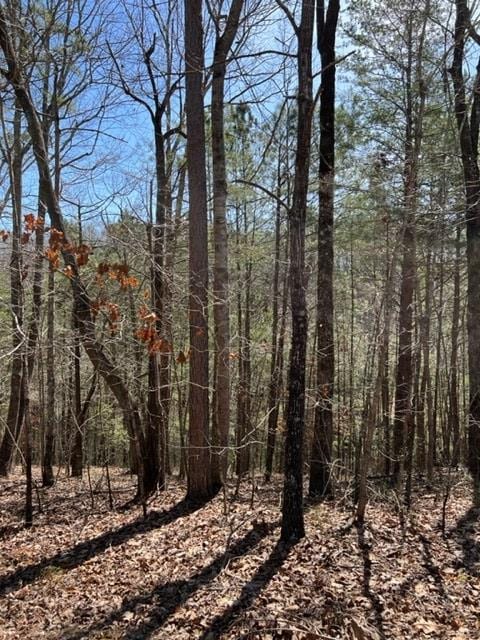 Listing photo 3 for LT3 Hunter Rdg, Ellijay GA 30540