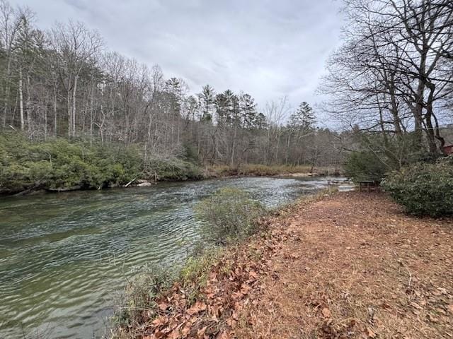 6611 Aska Rd, Blue Ridge GA, 30513 land for sale