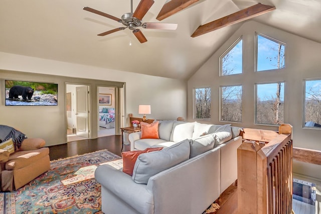 living room featuring beamed ceiling, high vaulted ceiling, wood-type flooring, and a wealth of natural light