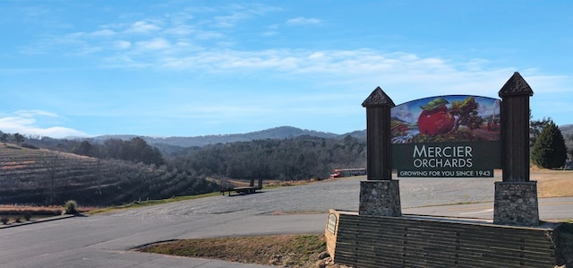 view of road with a mountain view