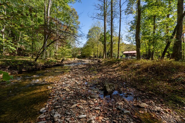 view of local wilderness