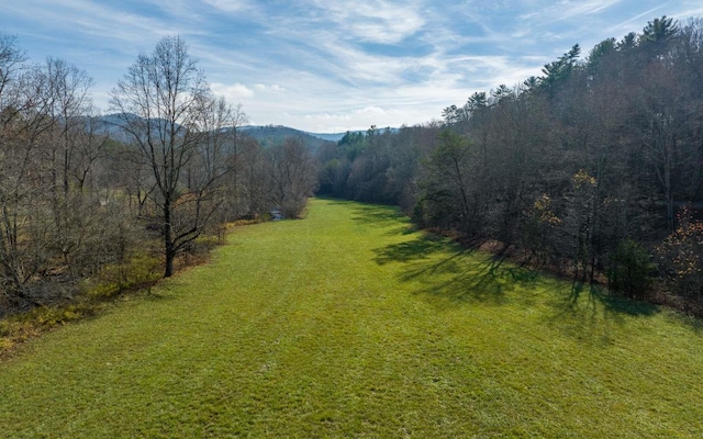 228 Holly Branch Dr, Ellijay GA, 30540 land for sale