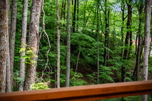74 Cohutta Overlook Way, Blue Ridge, GA 30513 - view of woods