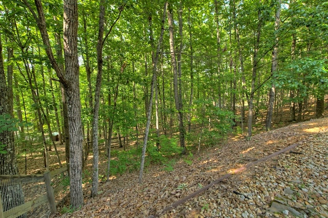 191 Deer Run Rd, Blairsville, GA 30512 - view of wooded area