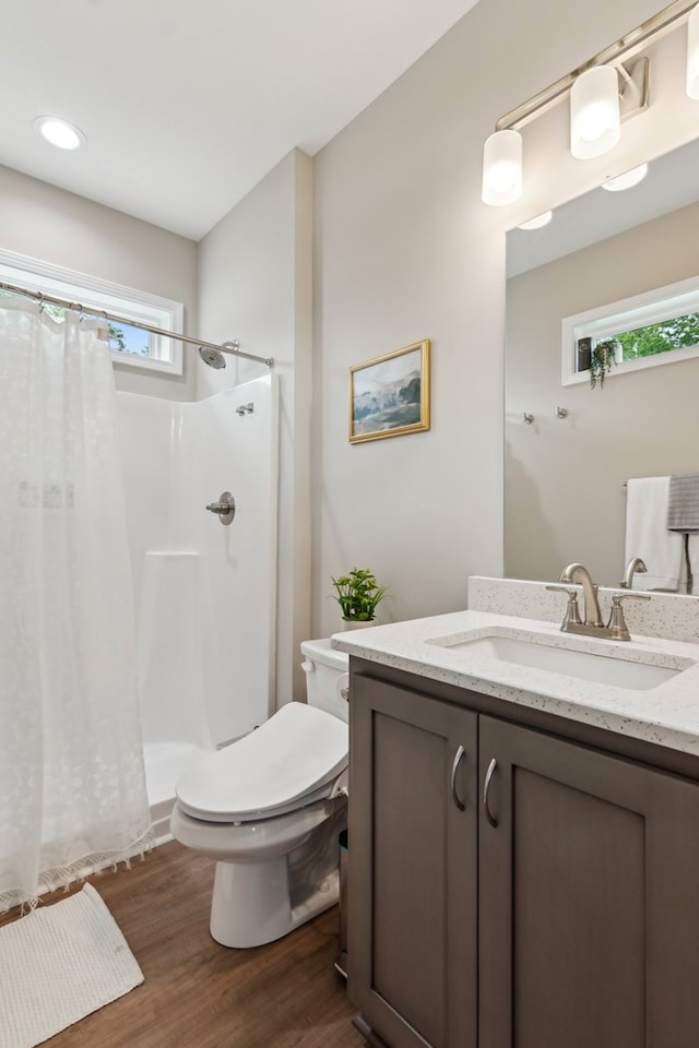 497 S Jakes Landing Way, Ellijay, GA 30540 - full bathroom featuring toilet, wood finished floors, vanity, and plenty of natural light