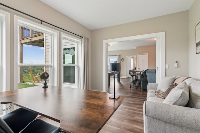 497 S Jakes Landing Way, Ellijay, GA 30540 - living room featuring wood finished floors
