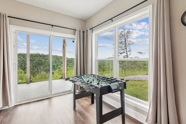 497 S Jakes Landing Way, Ellijay, GA 30540 - playroom with healthy amount of natural light and wood finished floors