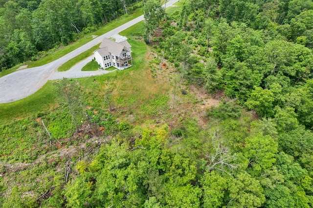 497 S Jakes Landing Way, Ellijay, GA 30540 - view of subject property with a heavily wooded area