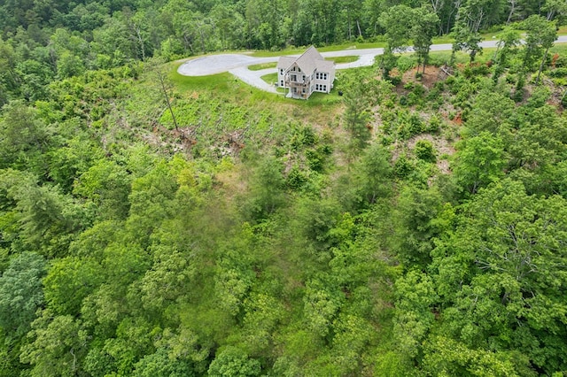 497 S Jakes Landing Way, Ellijay, GA 30540 - aerial view of property and surrounding area featuring a forest
