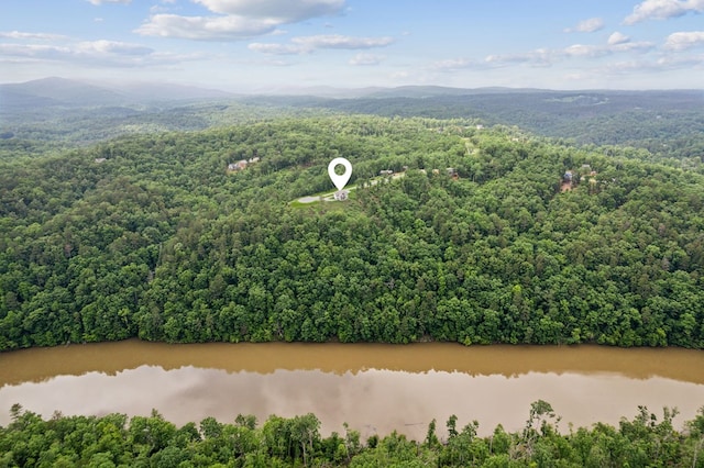 497 S Jakes Landing Way, Ellijay, GA 30540 - drone / aerial view of a forest and a water and mountain view